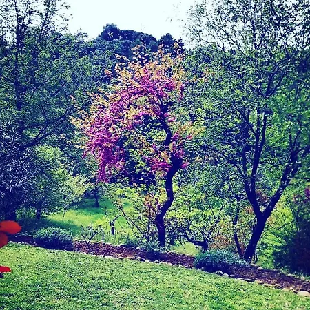 Country house San Nicola *
